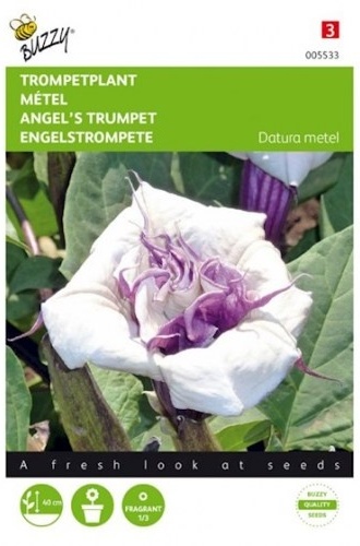 Datura metel Andelská trúba, Durman metelový cca  0,5 g